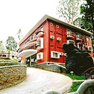 Forest Haven Resort Munnar Exterior foto